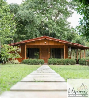 Cabin in Paradise with jacuzzi, free Wifi, and Relaxing sound of the river, Bungalows Tulipanes